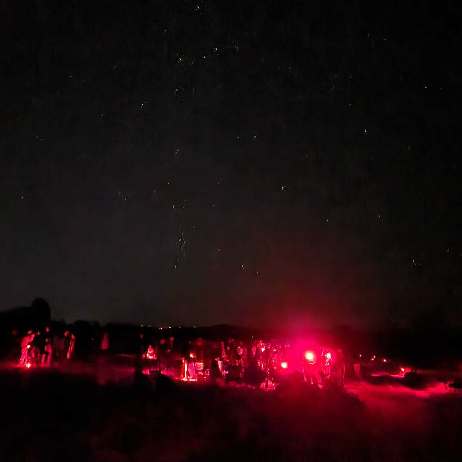 Insider Tour Star Party - logo